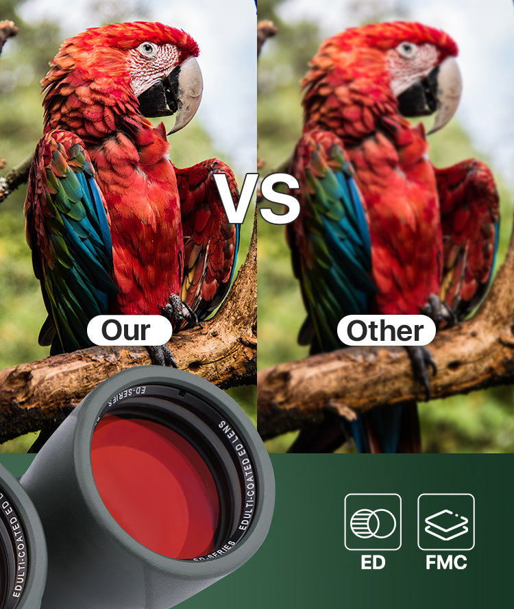 Comparison of a parrot image with and without a lens filter, labeled 'Our' and 'Other'.