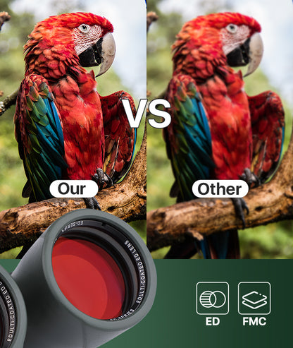 Comparison of a parrot image with and without a lens filter, labeled 'Our' and 'Other'.
