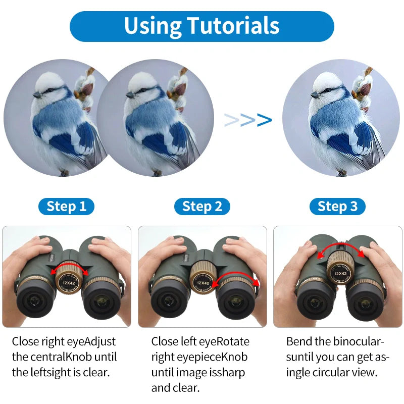 Step-by-step tutorial on using Caelum Binoculars with close-up images of a bird and instructions on adjusting the binoculars.