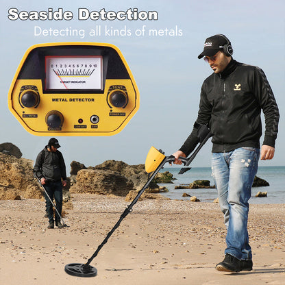 seaside desction with Divento Metal Detector