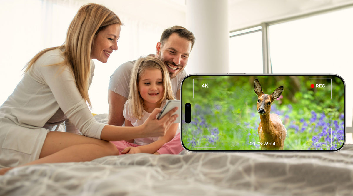 Vextaly Trail Camera capturing wildlife moments