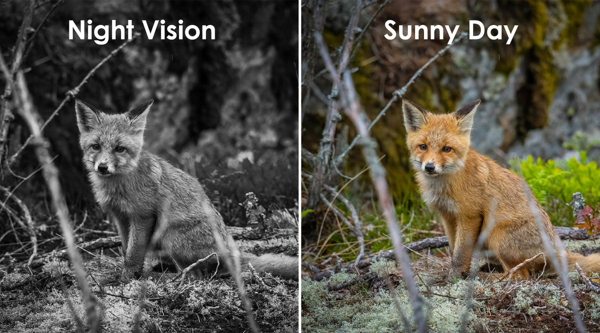 Vextaly Trail Camera full colour night vision