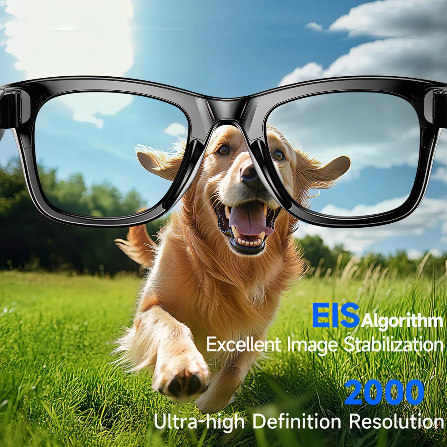 Dog running on grass with Sonovax Smart Glasses, featuring EIS algorithm text