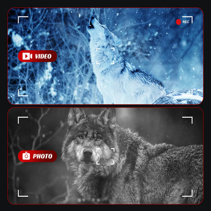 Two images of wolves: one in video mode with a howling wolf, the other in photo mode with a close-up of a wolf.