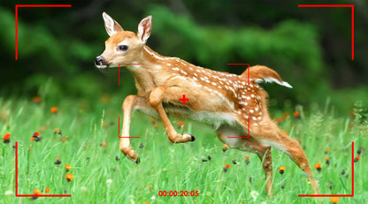 Vextaly Trail Camera 0.3 second ultra-fast capture